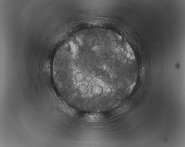 X0000114580466200911301339