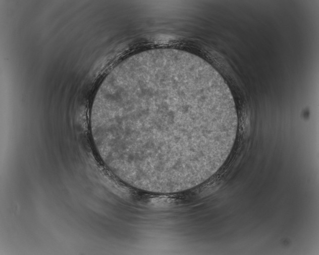 X0000114580470200911301339