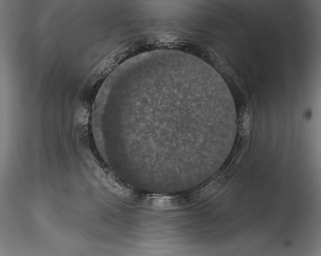 X0000114580472200911301339