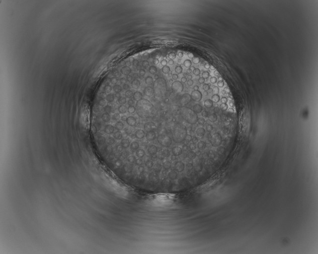 X0000114580474200911301339