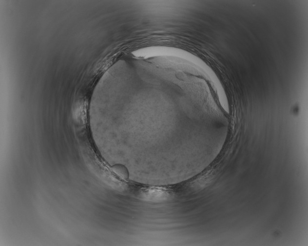 X0000114580475200911301339