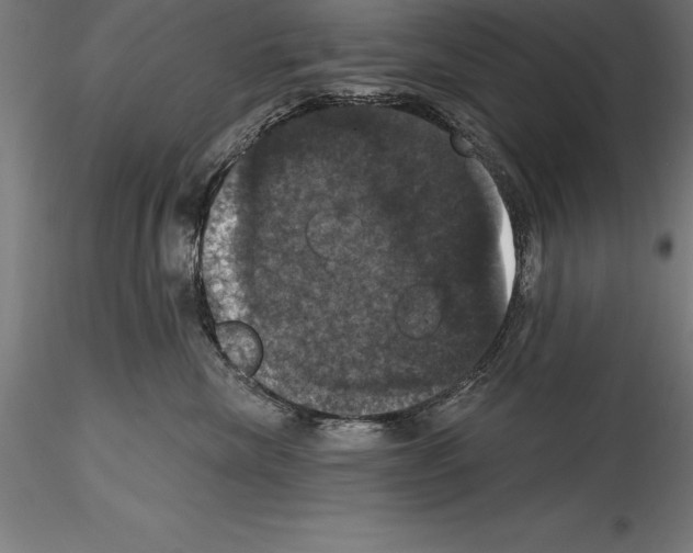 X0000114580476200911301339