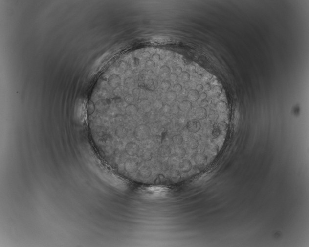 X0000114580478200911301339