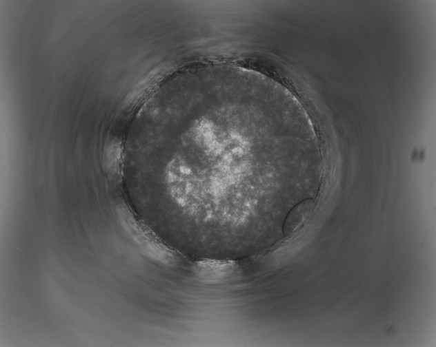 X0000114580480200911301339