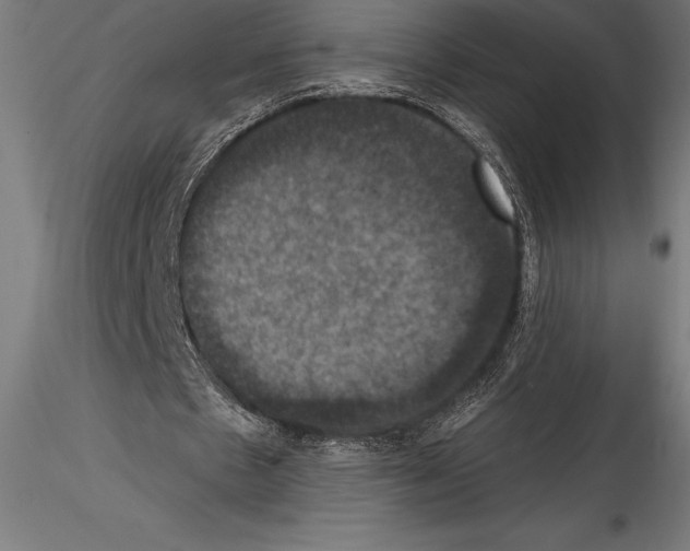 X0000114580481200911301339