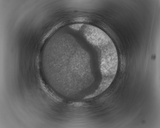 X0000114580482200911301339