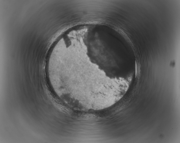 X0000114580483200911301339