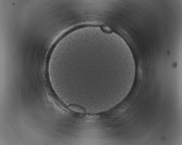 X0000114580484200911301339