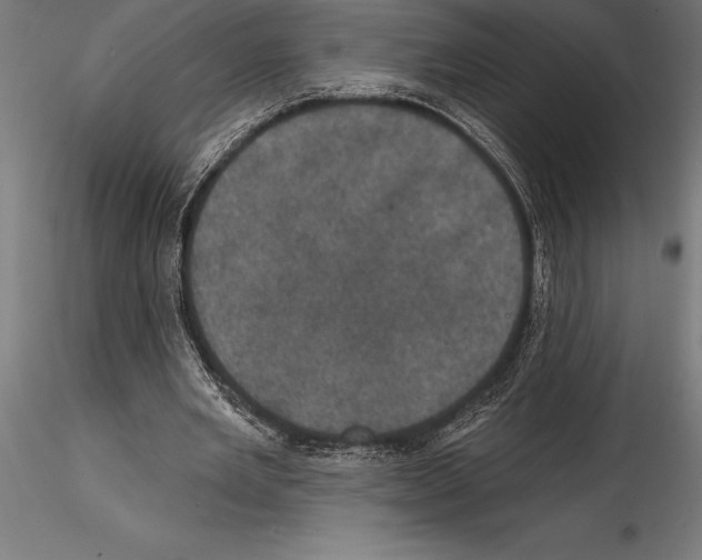 X0000114580485200911301339