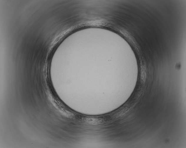 X0000114580486200911301339