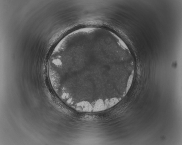 X0000114580487200911301339