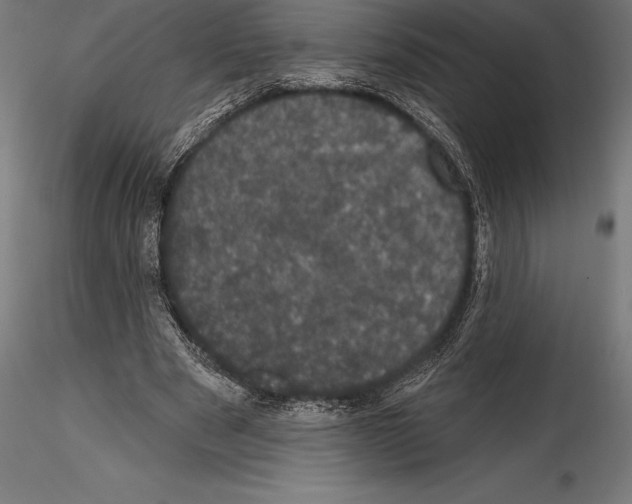 X0000114580489200911301338