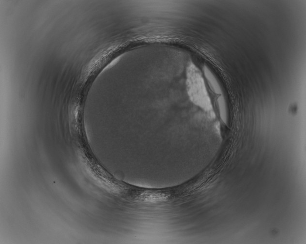 X0000114580491200911301338