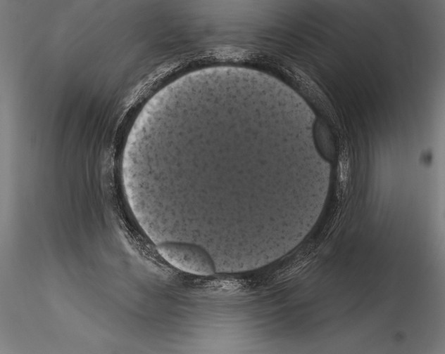 X0000114580492200911301338