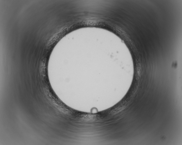 X0000114580497200911301338