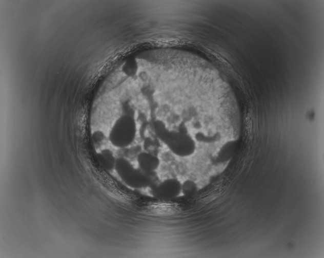 X0000114580499200911301338