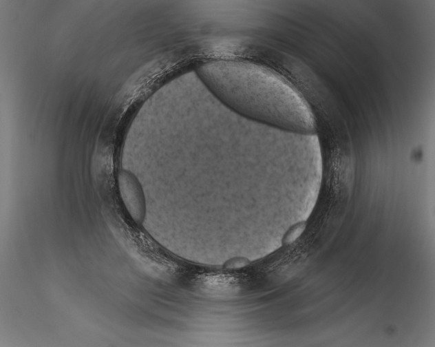 X0000114580500200911301338