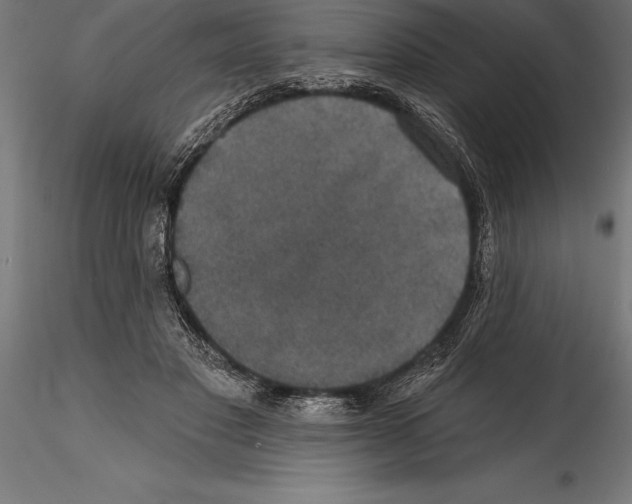 X0000114580501200911301338