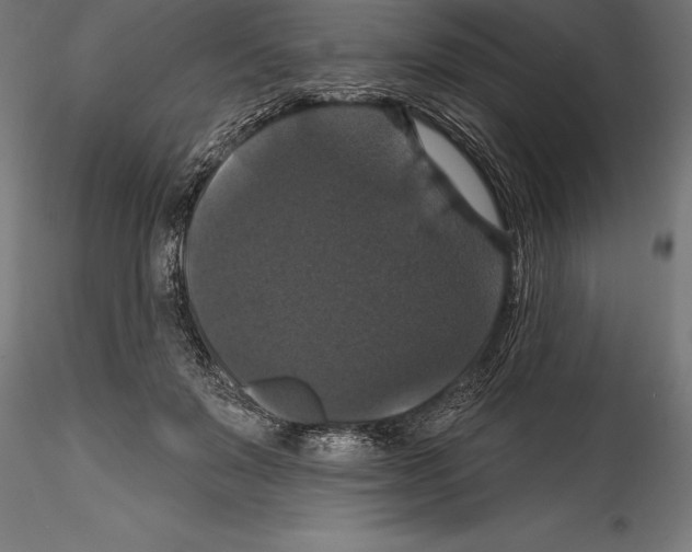 X0000114580503200911301338