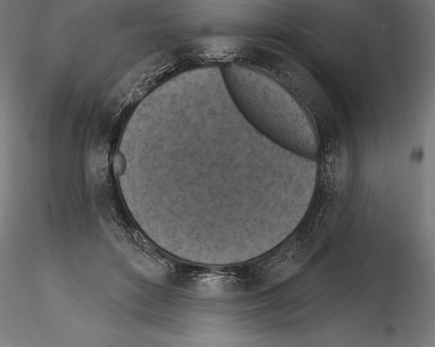 X0000114580504200911301338