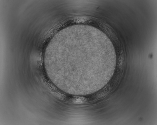 X0000114580510200911301338