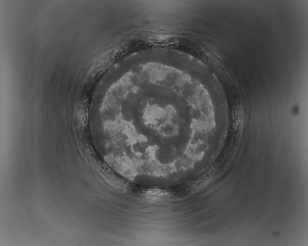 X0000114580515200911301338