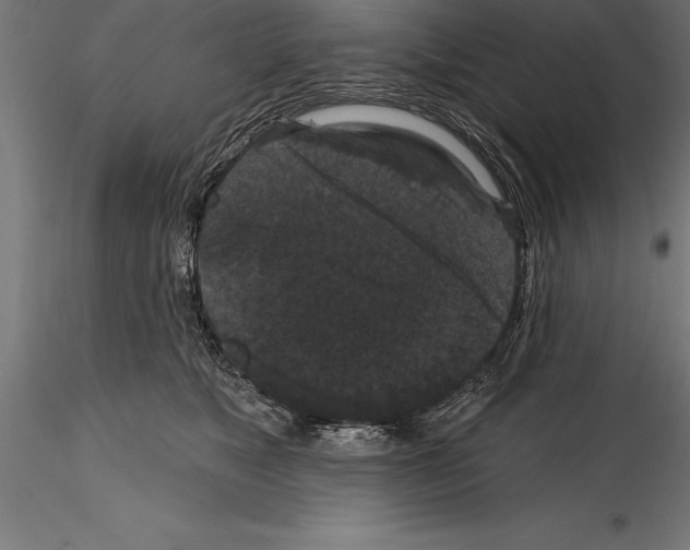 X0000114580517200911301338