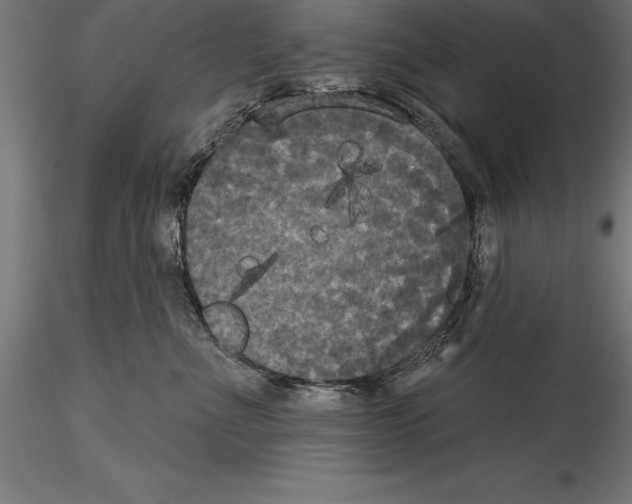 X0000114580523200911301338