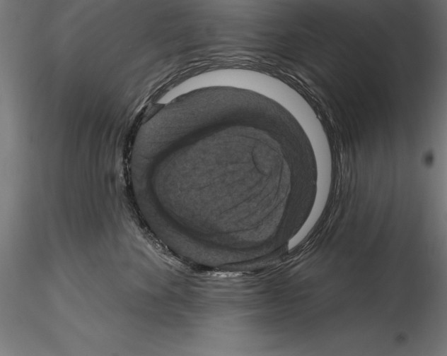 X0000114580524200911301338