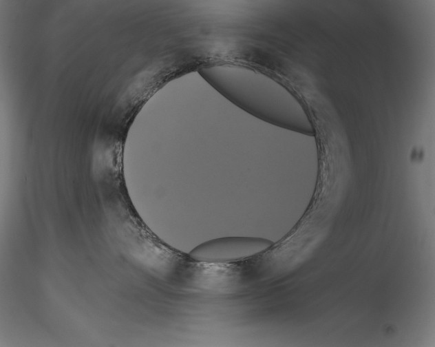 X0000114580528200911301338