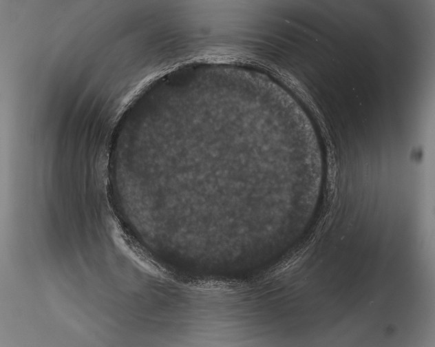 X0000114580530200911301337