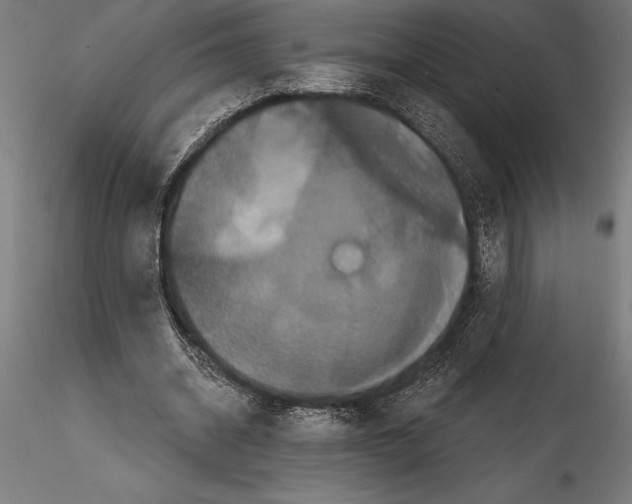 X0000114580534200911301337