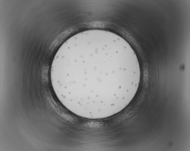 X0000114580537200911301337