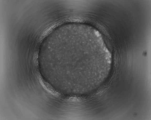 X0000114580538200911301337