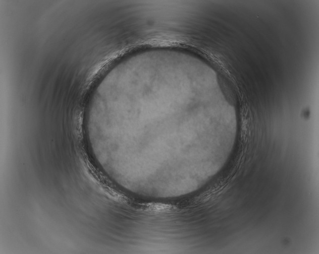 X0000114580539200911301337