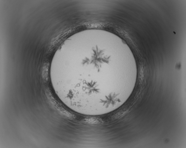 X0000114580545200911301337