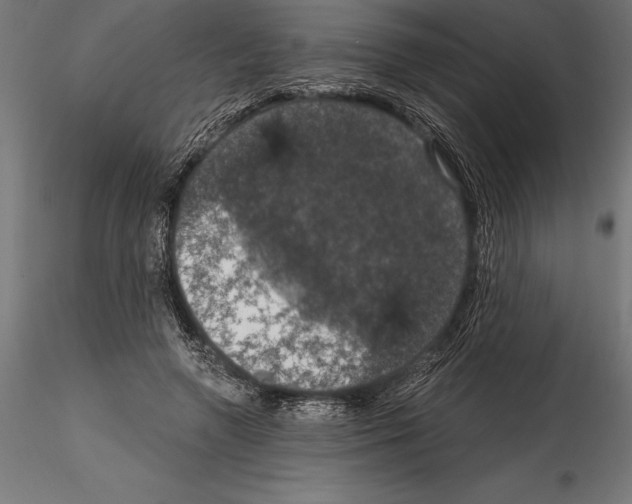 X0000114580546200911301337