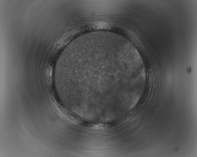 X0000114580550200911301337