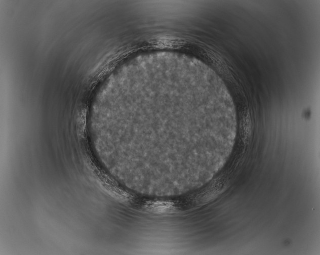 X0000114580554200911301337