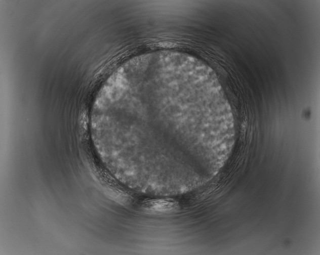 X0000114580555200911301337