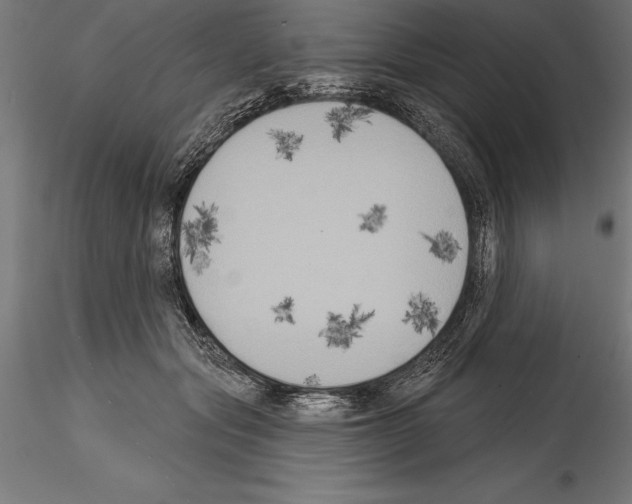 X0000114580557200911301338