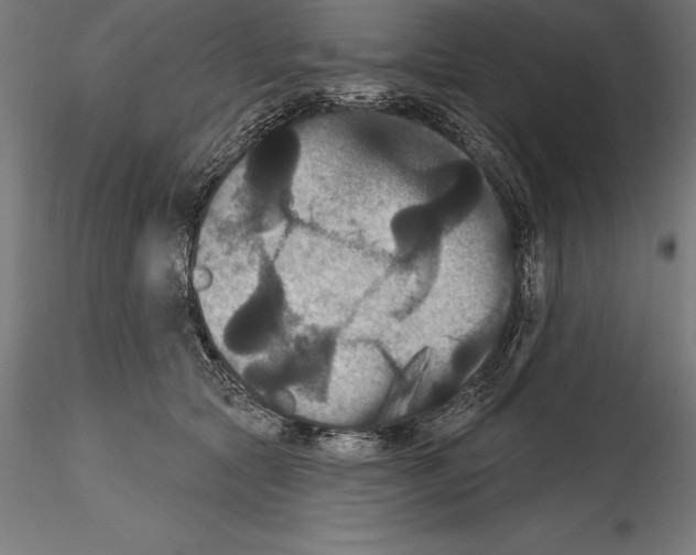 X0000114580561200911301338