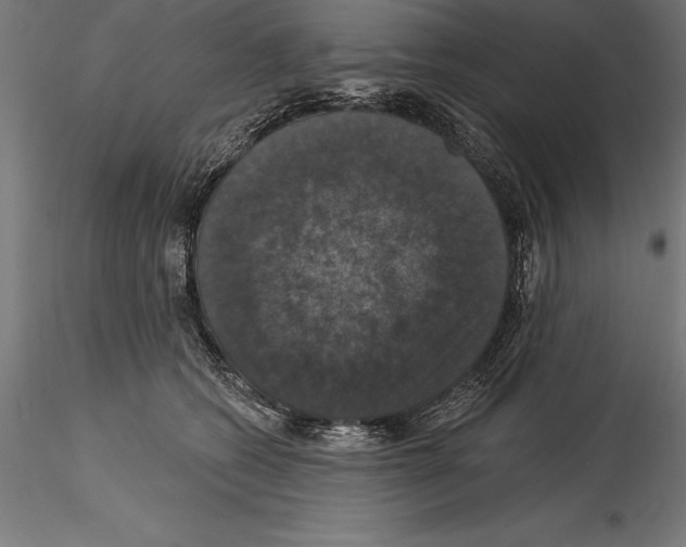 X0000114580562200911301338