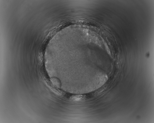 X0000114580563200911301338