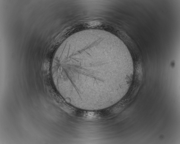 X0000114580565200911301338