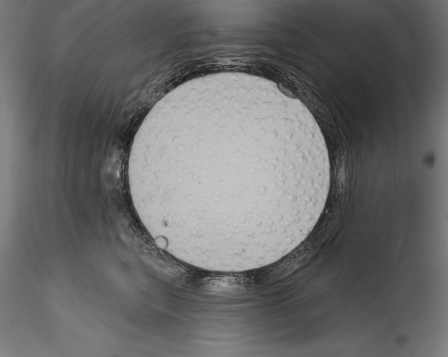 X0000114580567200911301338