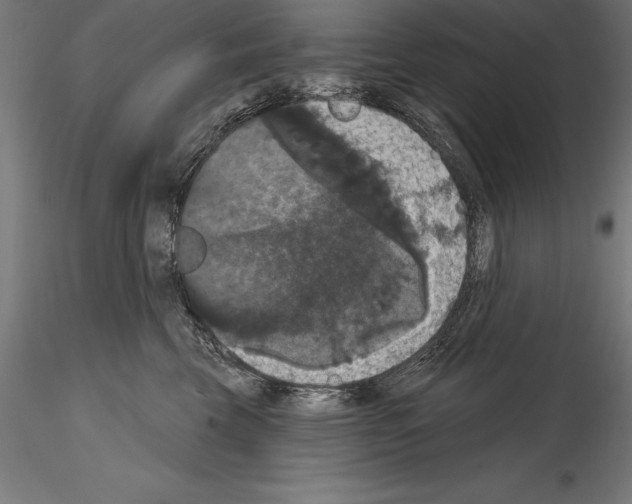 X0000114580569200911301338