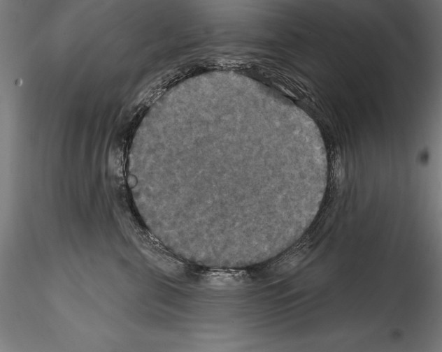 X0000114580571200911301338