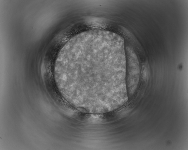 X0000114580573200911301338