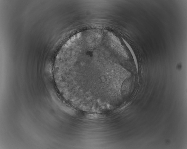 X0000114580575200911301338